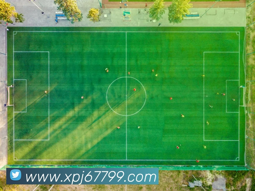 新葡京在线官网平台生态图